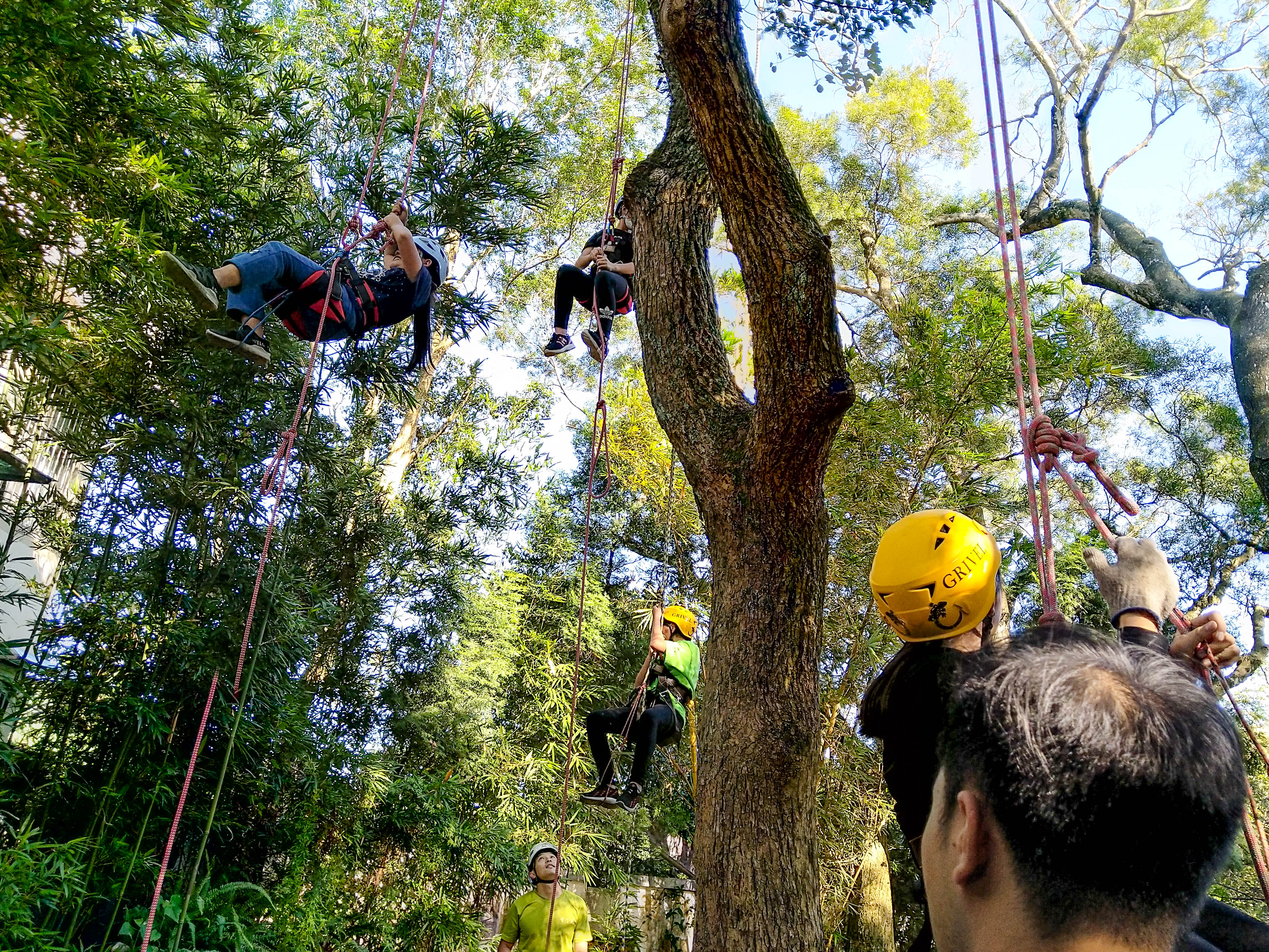 攀樹體驗讓孩子克服恐懼獨立完成